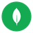 MongoDB